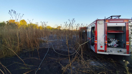 Se incendió un descampado cerca del Parque Pereyra y las llamas consumieron una hectárea Se incendió un descampado cerca del Parque Pereyra y las llamas consumieron una hectárea