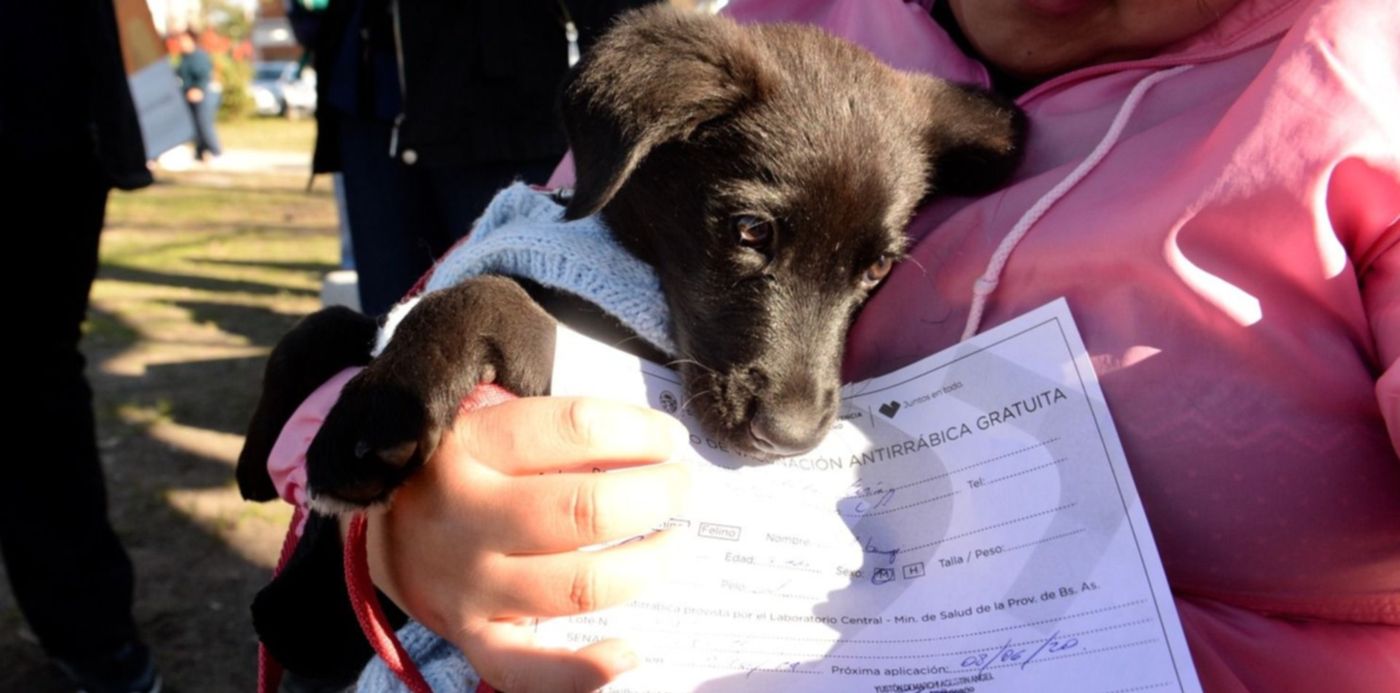 1560818188694.jpeg?x=8&y=147&width=1484&height=742&rotate=0&scaleX=1&scaleY=1&ow=1500&oh=993&&cw=1920&ch=950