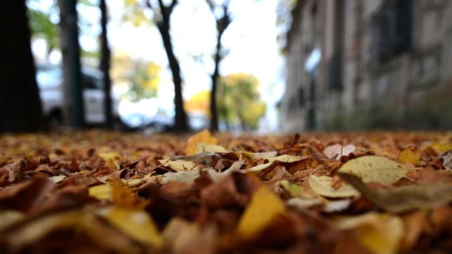 chau ola de frio: dia por dia, asi estara clima esta semana en la plata