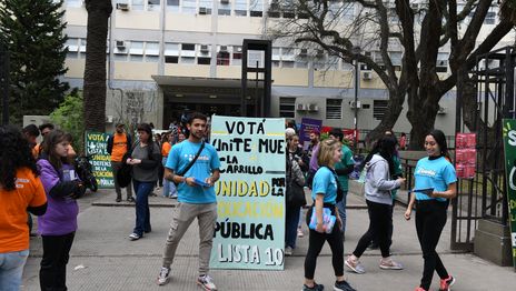 ¿Cuántas agrupaciones participan en las elecciones de la UNLP y cuáles son?