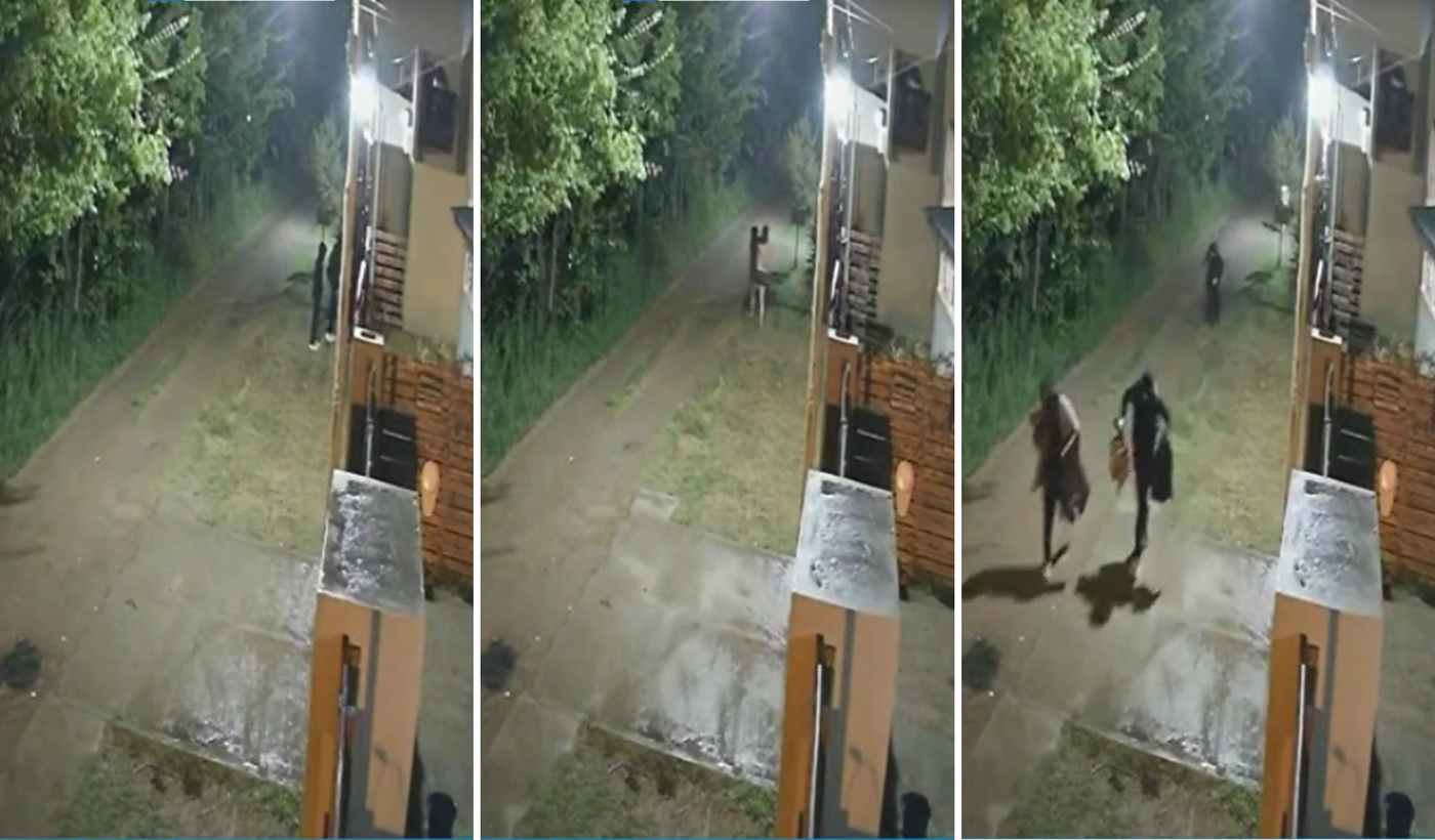 Diseño sin título - 2024-10-13T130507.811.png