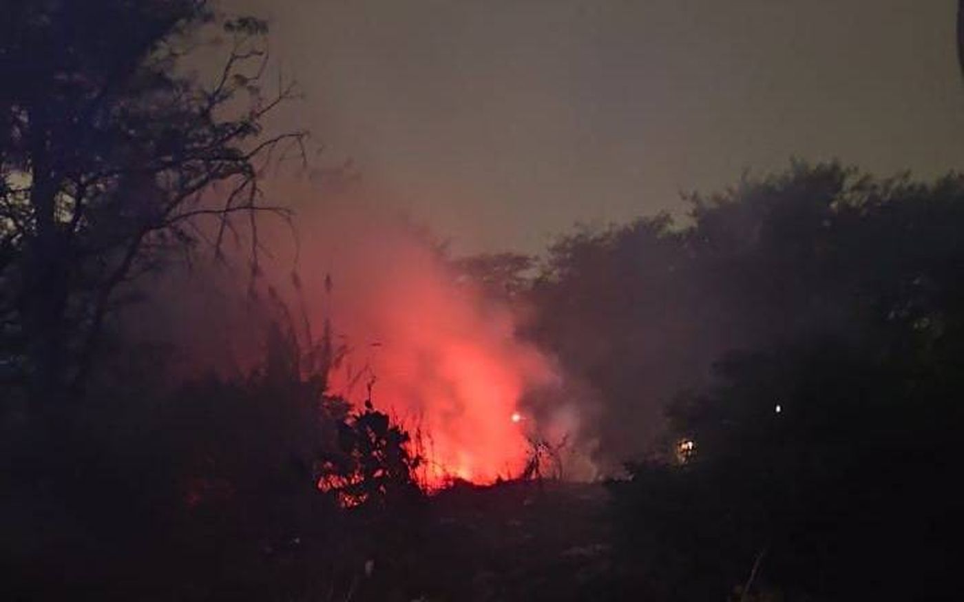El incendio forestal en Arturo Seguí El incendio forestal en Arturo Seguí