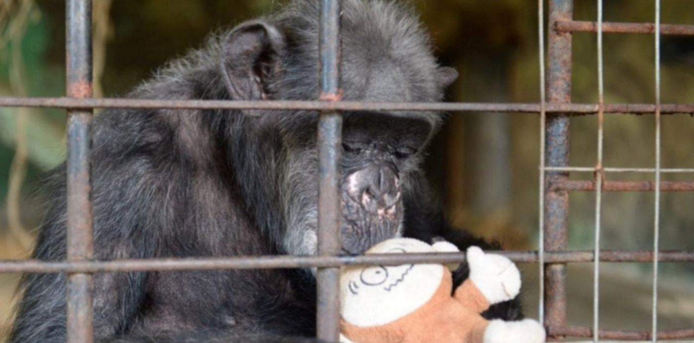 1600971609537.jpeg?x=5&y=12&width=1259&height=629&rotate=0&scaleX=1&scaleY=1&ow=1280&oh=838&&cw=1920&ch=950