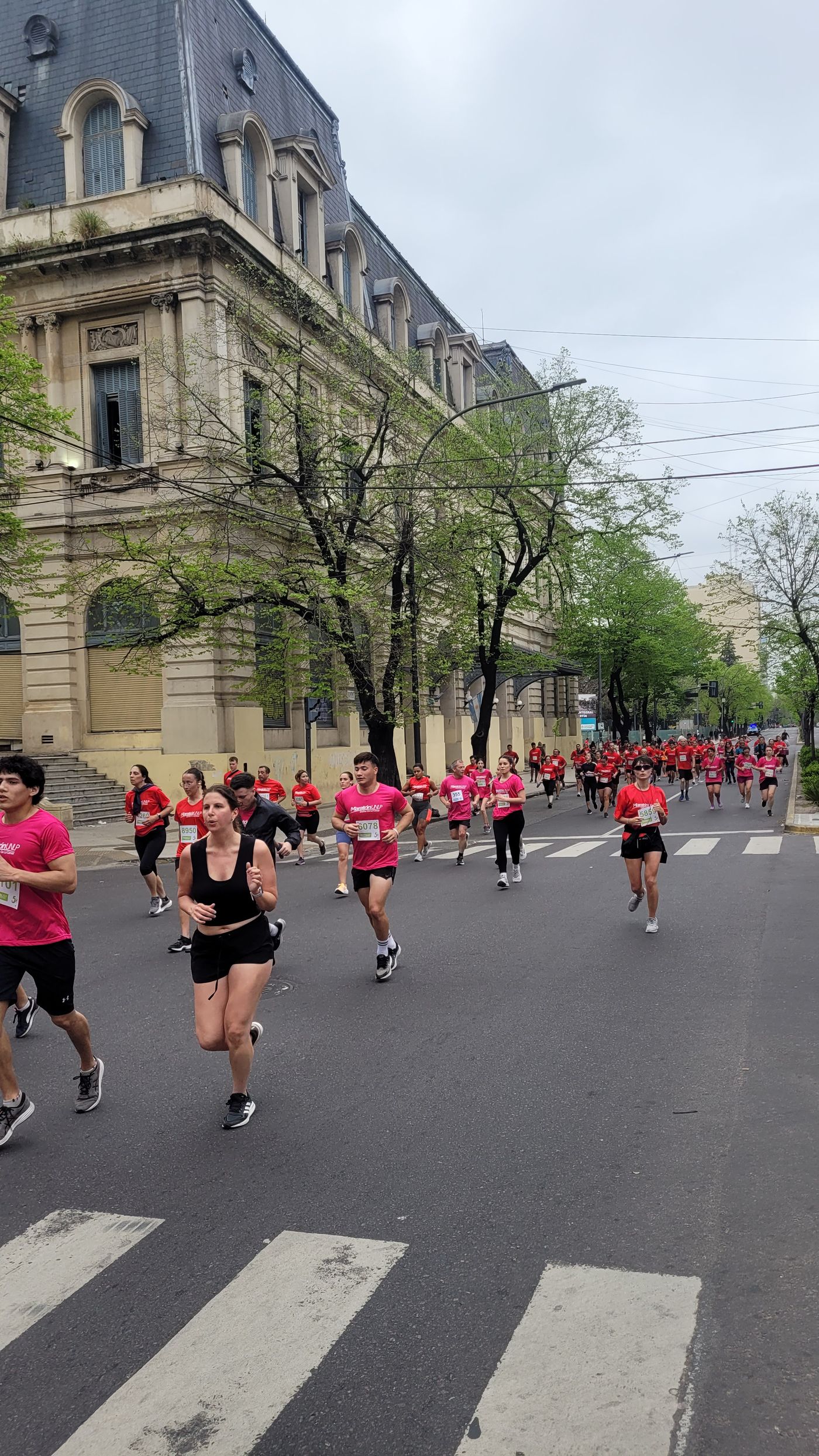 Cada inscripto deberá colaborar con un alimento no perecedero que será donado al Banco de Alimentos de La Plata