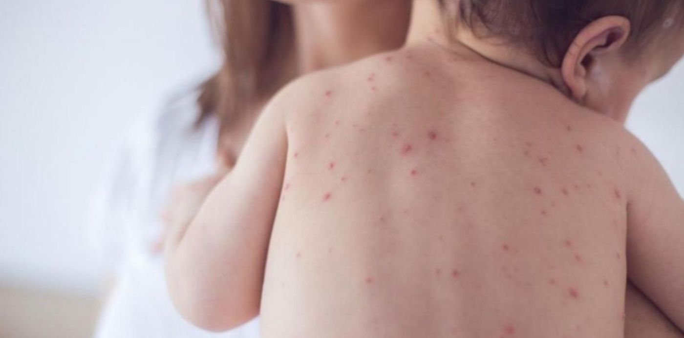 1539779004198.jpg?x=18&height=734&ow=1500&oh=823&y=7&width=1469&rotate=0&scaleX=1&scaleY=1&&cw=1920&ch=950