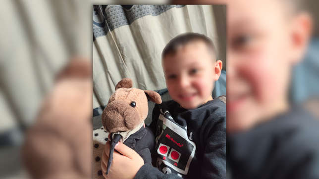 un nene perdio su peluche favorito en una cancha y piden ayuda para recuperarlo