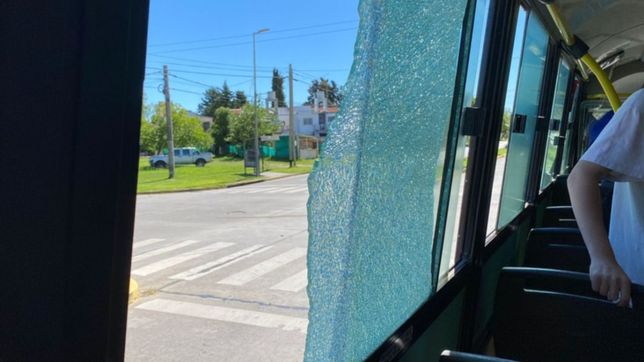 dramatico ataque a piedrazos contra un micro en la plata: me salve de milagro