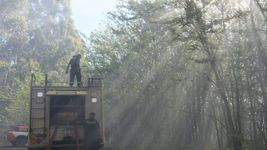 intensifican las tareas de control en el parque pereyra iraola ante el alerta por incendios