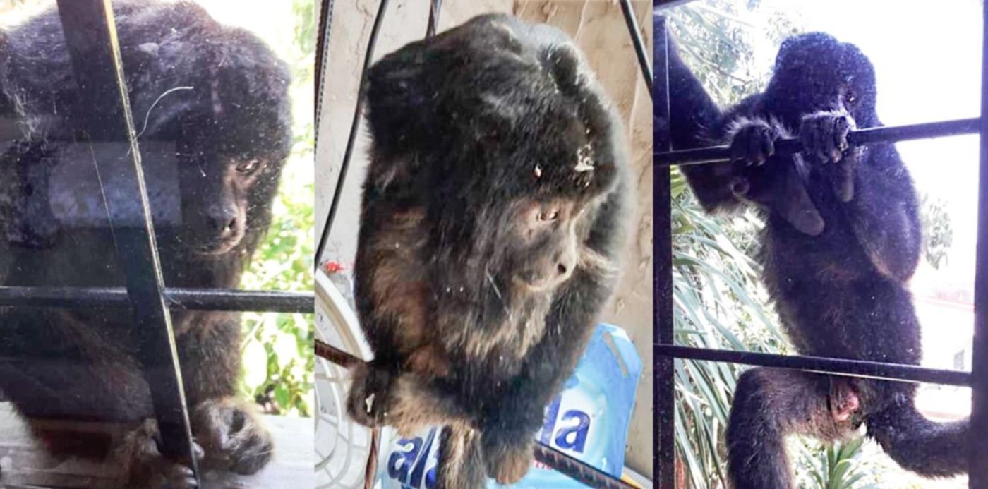 1548340161275.jpg?&cw=1920&ch=950