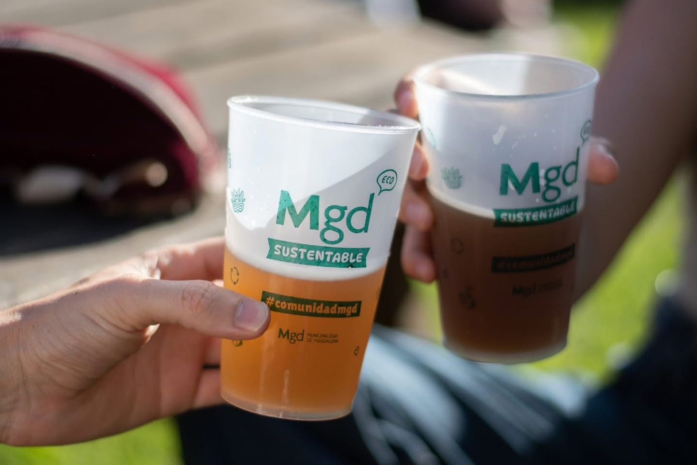 fiesta de la cerveza (2)