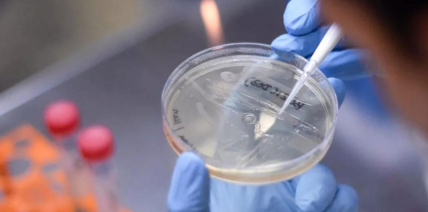 1624303272186.jpg?x=11&y=133&width=1184&height=592&rotate=0&scaleX=1&scaleY=1&ow=1200&oh=800&&cw=1920&ch=950