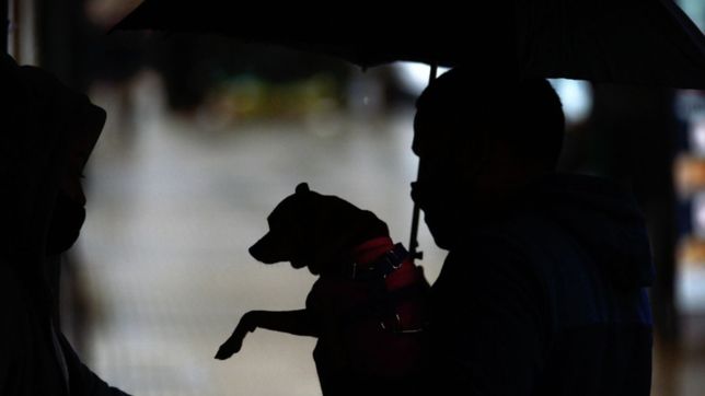 la plata en alerta por el clima: se esperan fuertes tormentas, vientos y hasta granizo