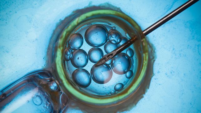 la justicia sento un precedente clave sobre cuando las obras sociales deben cubrir tratamientos de fertilidad