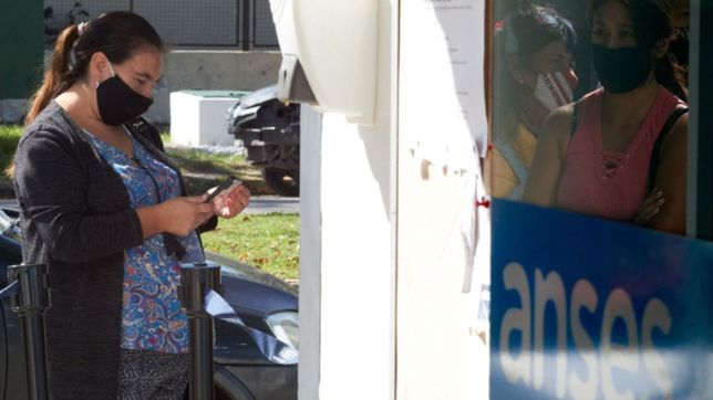 jubilaciones, creditos, auh y progresar: anses prepara un operativo para hacer consultas