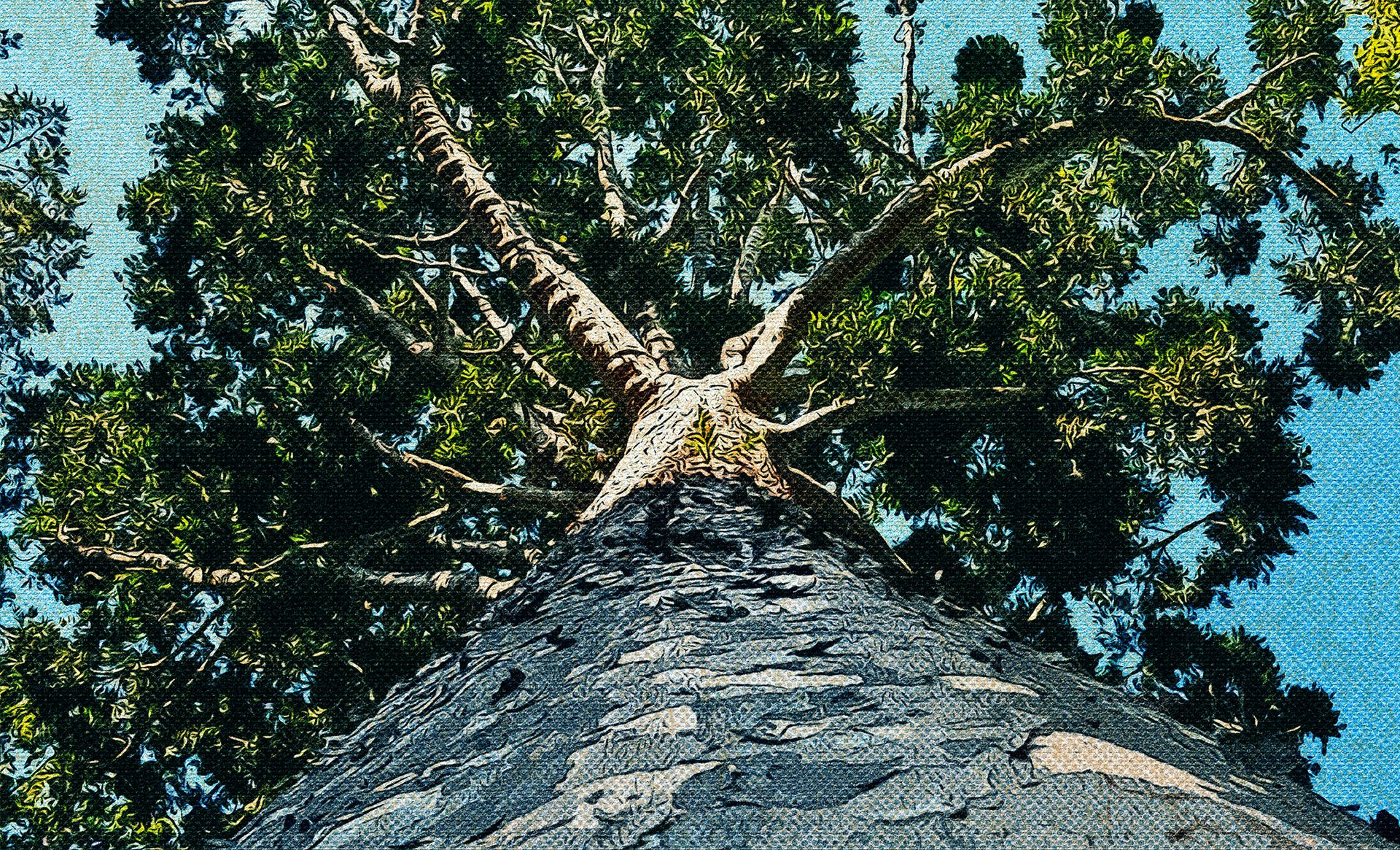 4 - Árbol de cristal - Horizontal.jpg