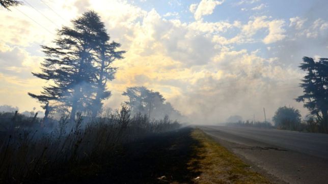 gimnasia investigara si el incendio en estancia chica fue intencional