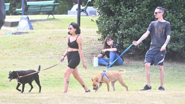 aumenta la temperatura y la nubosidad en la plata a la espera de las lluvias