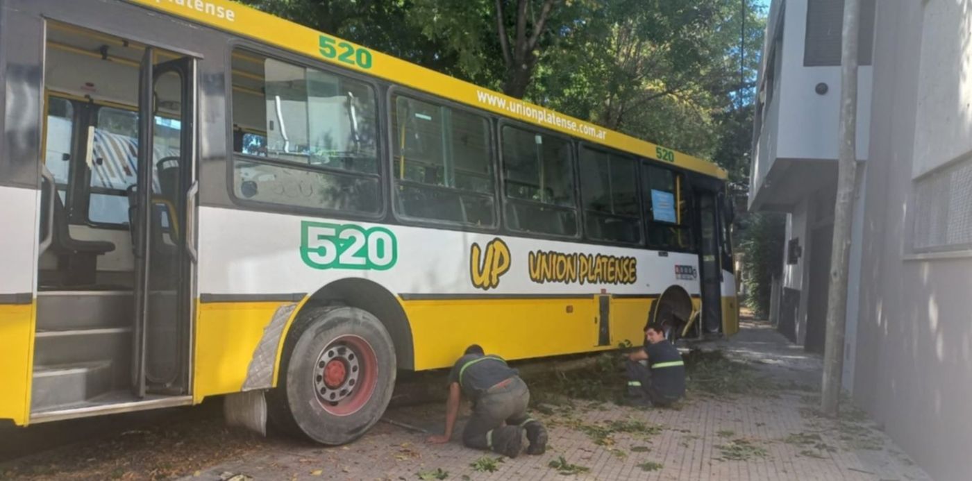 1679944067785.jpg?x=7&y=80&width=1484&height=742&rotate=0&scaleX=1&scaleY=1&ow=1500&oh=844&&cw=1920&ch=950