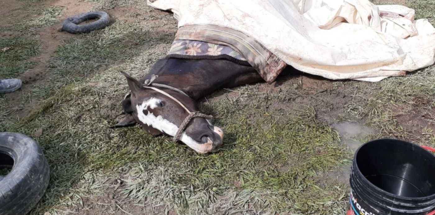 1638307889729.jpg?x=6&y=2&width=1368&height=684&rotate=0&scaleX=1&scaleY=1&ow=1500&oh=693&&cw=1920&ch=950