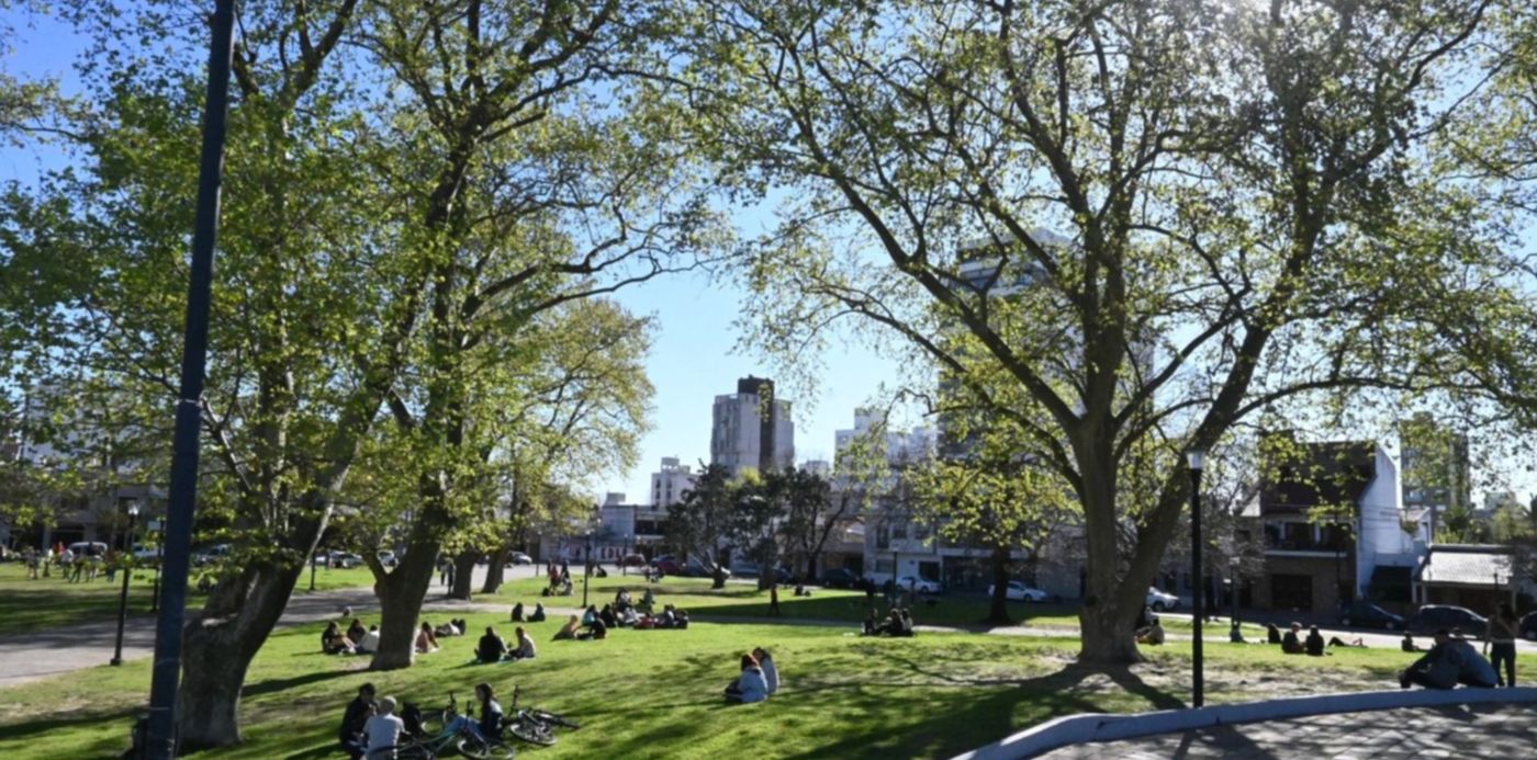 1632757137953.jpg?x=10&y=106&width=1477&height=738&rotate=0&scaleX=1&scaleY=1&ow=1500&oh=999&&cw=1920&ch=950