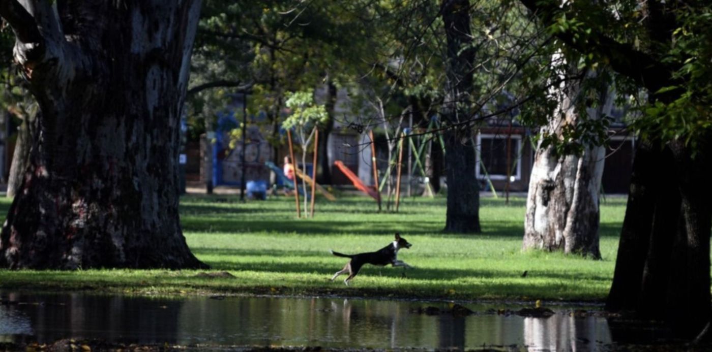 1527248400949.jpeg?x=12&y=13&width=1252&height=626&scaleX=1&scaleY=1&oh=644&rotate=0&ow=1280&&cw=1920&ch=950