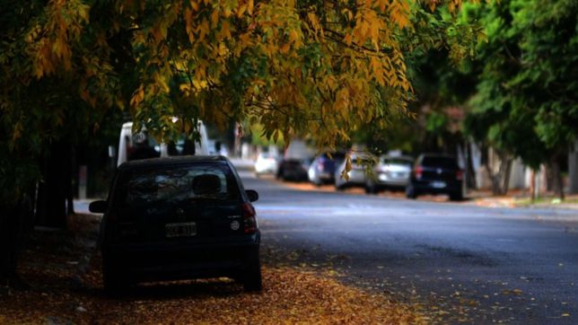 abril comienza con chance de lluvias aisladas en la plata