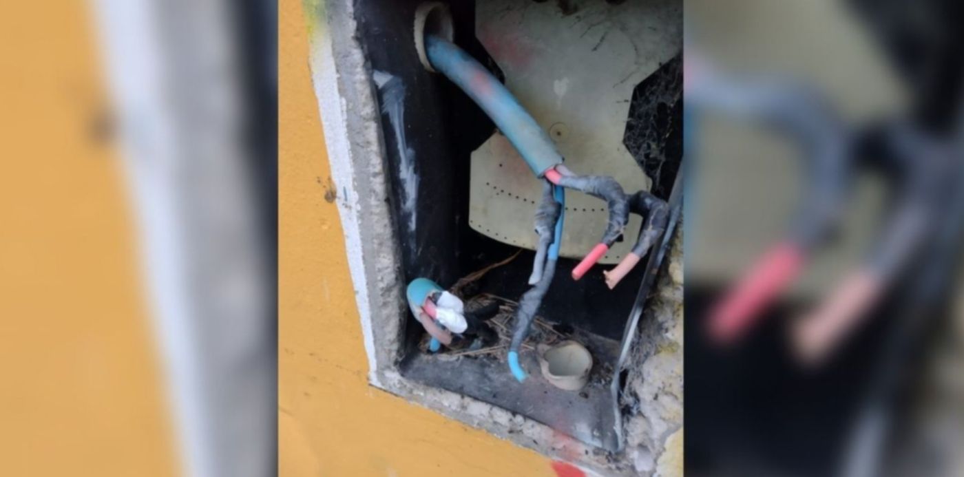 1624568086971.jpg?x=39&y=7&width=1275&height=637&rotate=0&scaleX=1&scaleY=1&ow=1350&oh=650&&cw=1920&ch=950