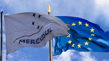 El Senado aprobó el acuerdo Mercosur-Unión Europea tras 25 años de negociaciones El Senado aprobó el acuerdo Mercosur-Unión Europea tras 25 años de negociaciones