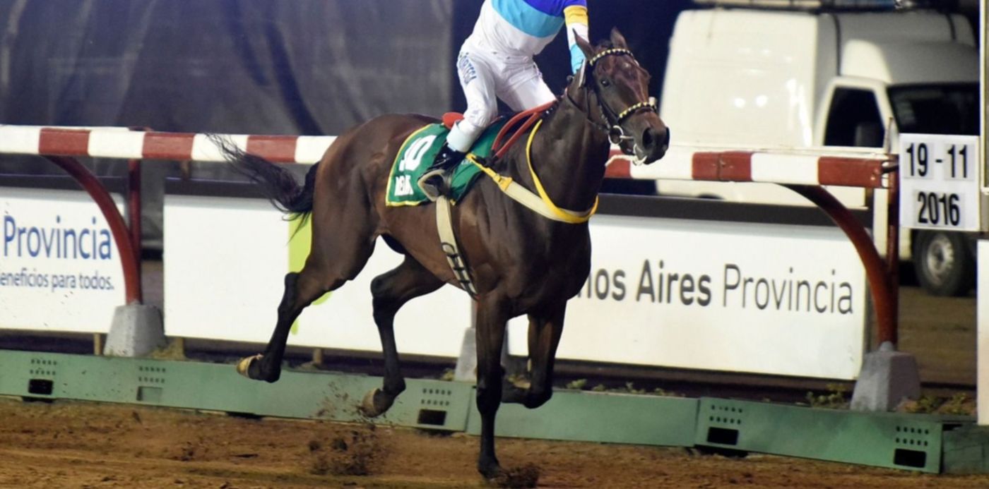 1528767104534.jpg?scaleX=1&scaleY=1&width=1484&height=742&rotate=0&ow=1500&oh=991&x=11&y=235&&cw=1920&ch=950