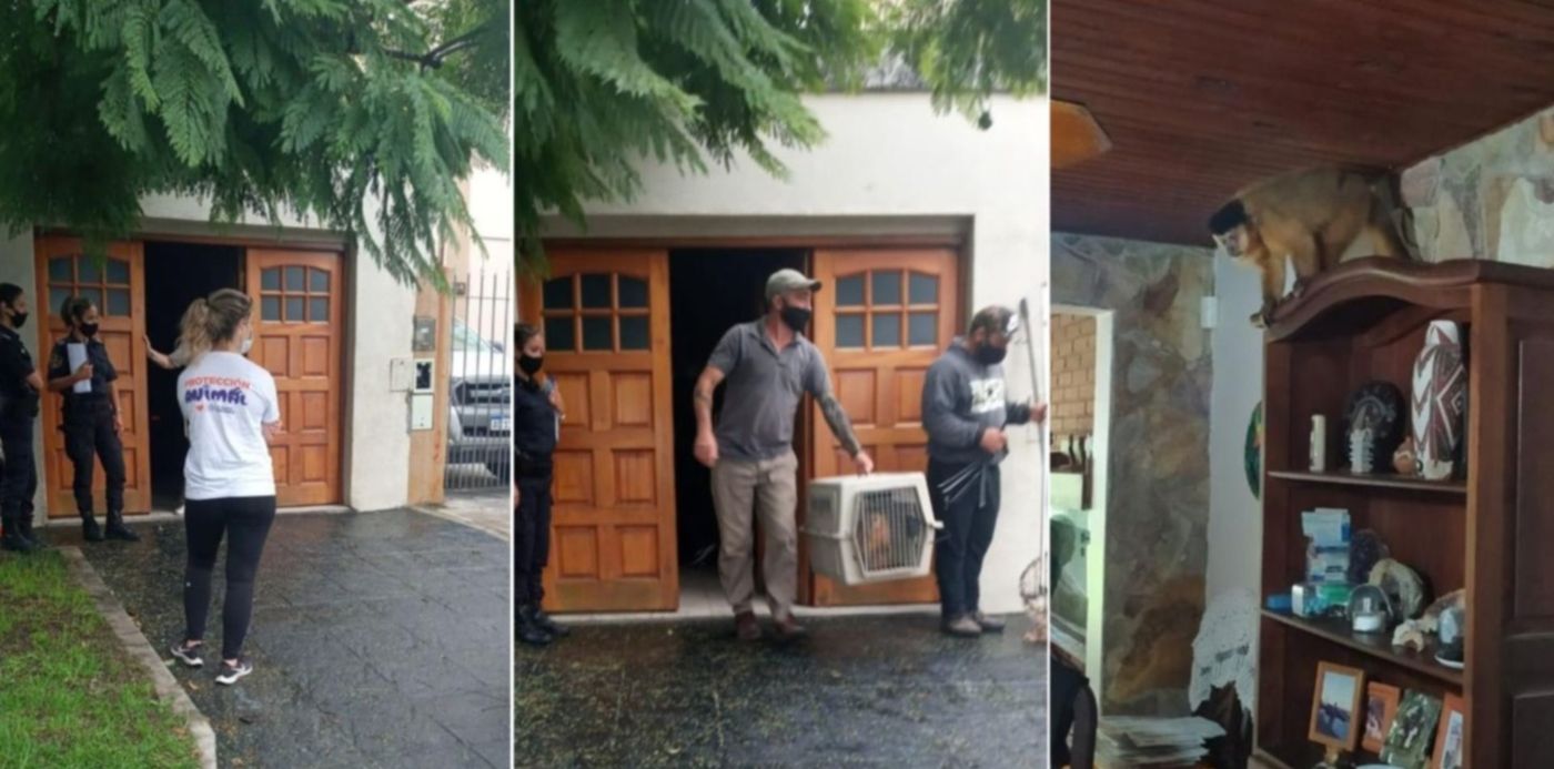 1618094999234.jpg?x=24&y=6&width=1452&height=726&rotate=0&scaleX=1&scaleY=1&ow=1500&oh=742&&cw=1920&ch=950