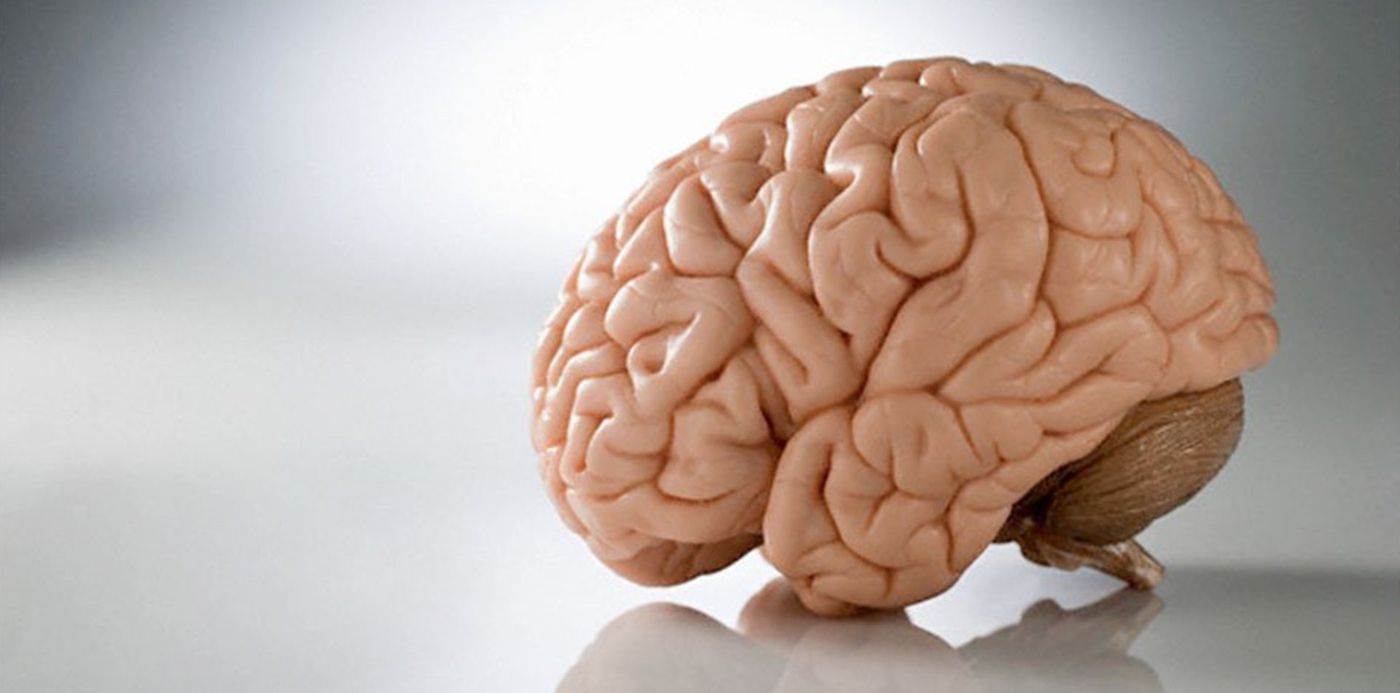 1539286542433.jpg?x=4&y=29&width=934&height=467&scaleY=1&oh=520&rotate=0&scaleX=1&ow=940&&cw=1920&ch=950