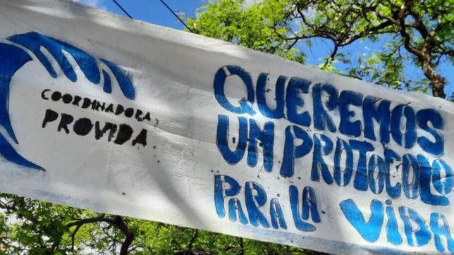 en la plata volvio la campana provida tras el envio del proyecto del aborto al congreso