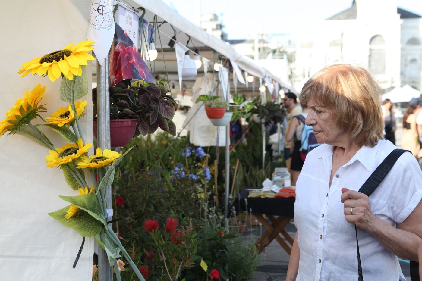 La Plata en Flor.jpg