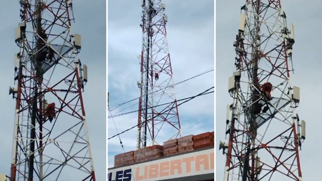 rescatistas de la plata salvaron a un hombre que intento tirarse desde una antena