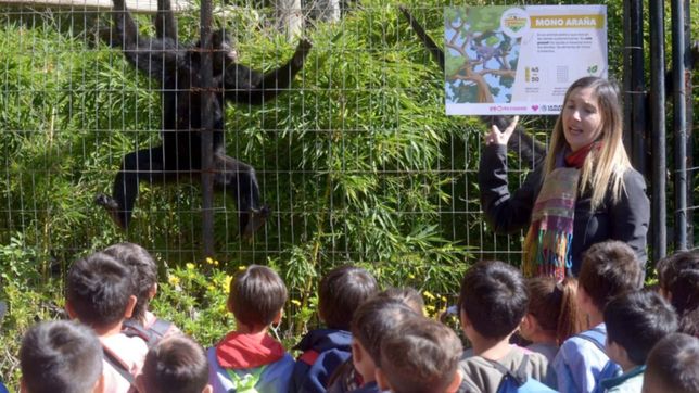 ya se inscribieron 180 escuelas para participar de las visitas guiadas al bioparque