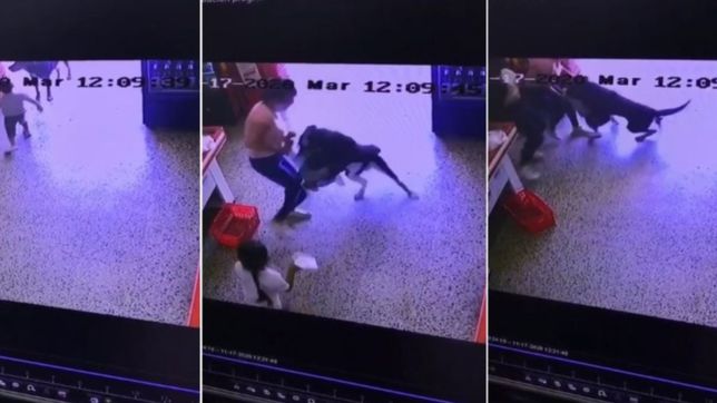 video: un nene quiso jugar con un perro y lo ataco en un supermercado de la plata