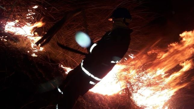 las fotos del incendio en la autopista que movilizo a mas de treinta bomberos