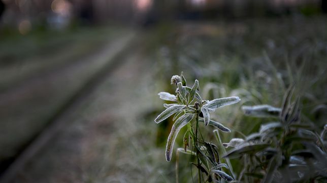 ingresa un frente frio a la provincia y podrian llegar las primeras heladas del ano a la plata