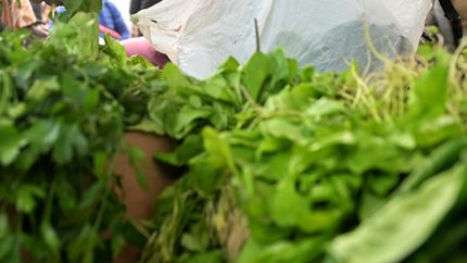 Productores del cordón frutihortícola cortan calles para reclamar ayuda en medio de la crisis