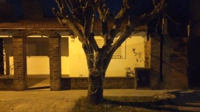 entro a robar a la casa de un policia de la plata y lo estaba esperando un pitbull