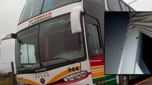 cucarachas, aires rotos y desperfectos mecanicos: piden la intervencion de plusmar