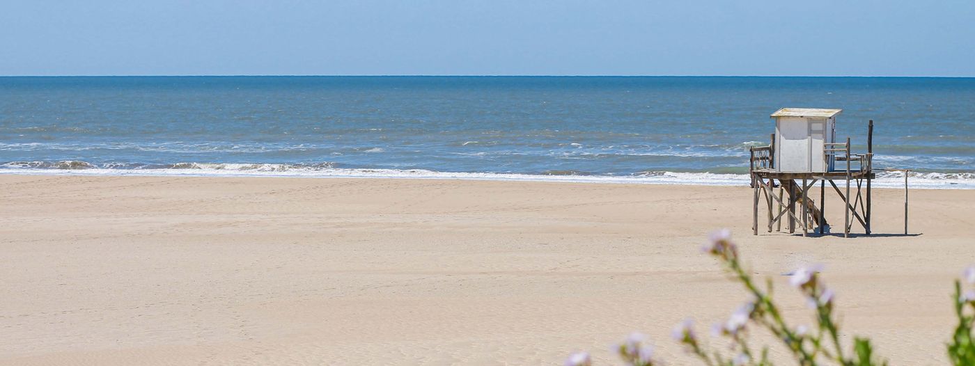 Foto portada las gaviotas.jpg