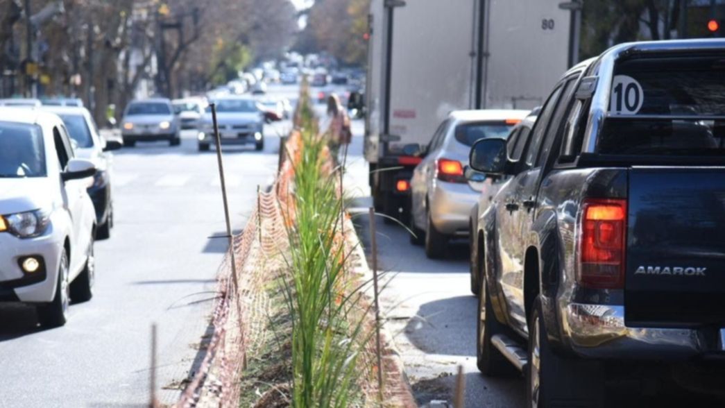 Forestarán una rambla de La Plata con 600 plantas que ayudan a mitigar el cambio climático