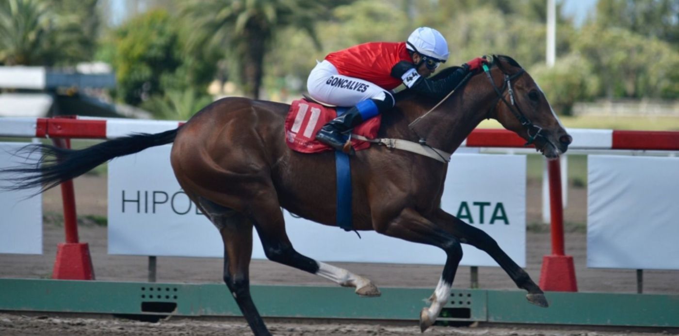 1543785452169.jpg?x= 26&y=226&width=1538&height=769&rotate=0&scaleX=1&scaleY=1&ow=1500&oh=995&&cw=1920&ch=950