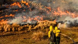 el insolito motivo por el que se desato el incendio en cordoba
