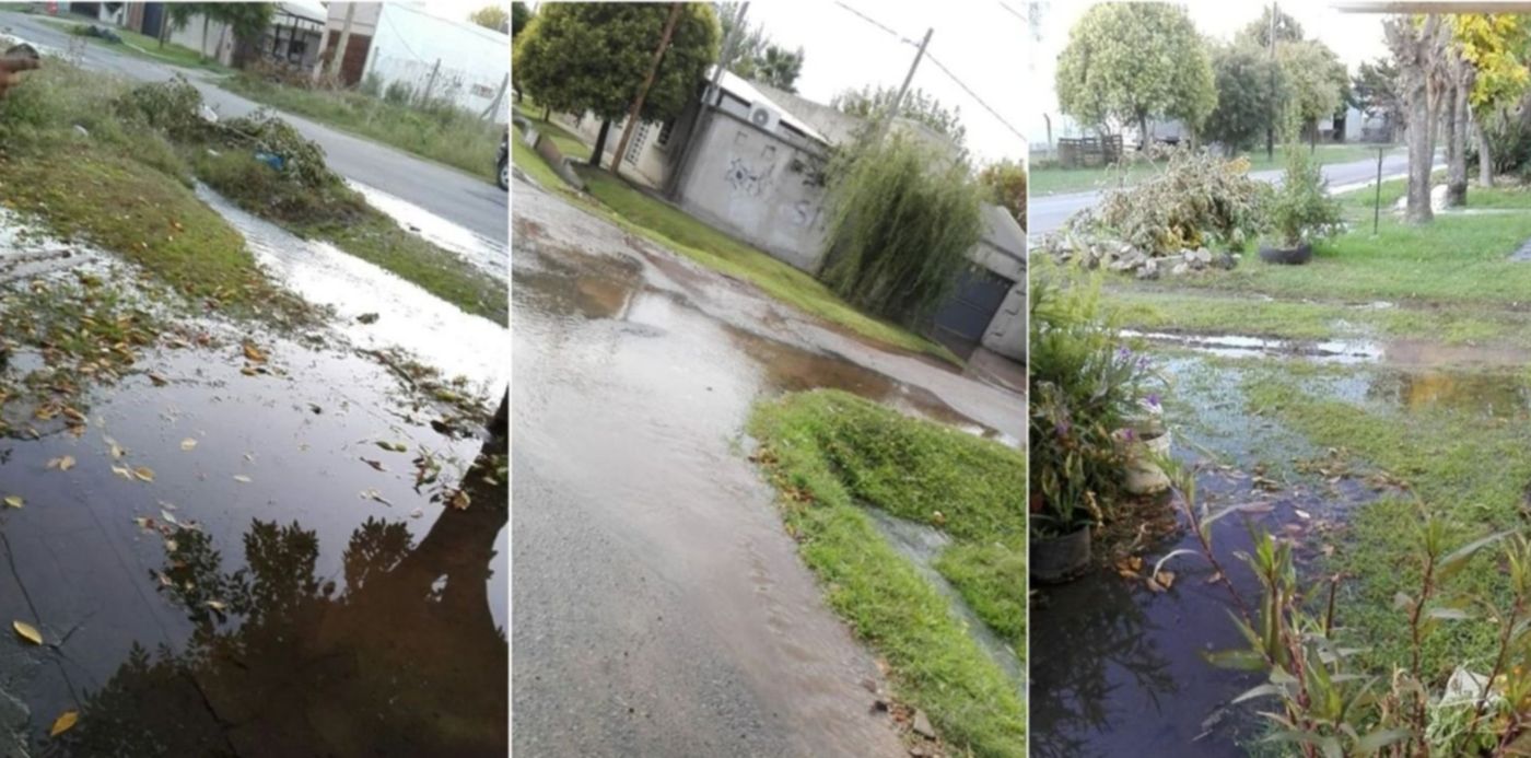 1555968612751.jpg?height=742&rotate=0&scaleX=1&scaleY=1&y=0&width=1484&oh=742&x=8&ow=1500&&cw=1920&ch=950