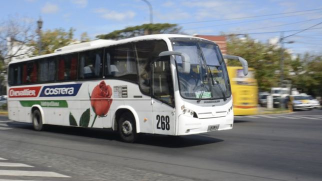la odisea de los usuarios de la plata para saber horarios y frecuencias de micros a buenos aires