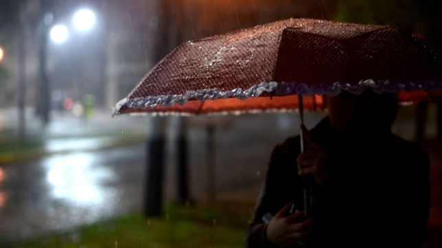 llegan las lluvias y ¿con tormentas fuertes?: asi va a seguir el clima en la plata