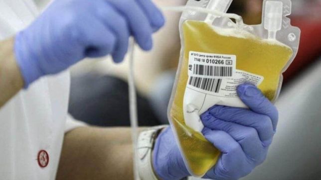 eximiran del pago de impuestos a donantes de plasma en la plata: ¿como acceder?