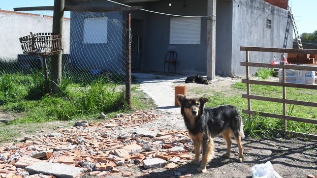 ¿quien era la mujer asesinada en su casa de villa alba?